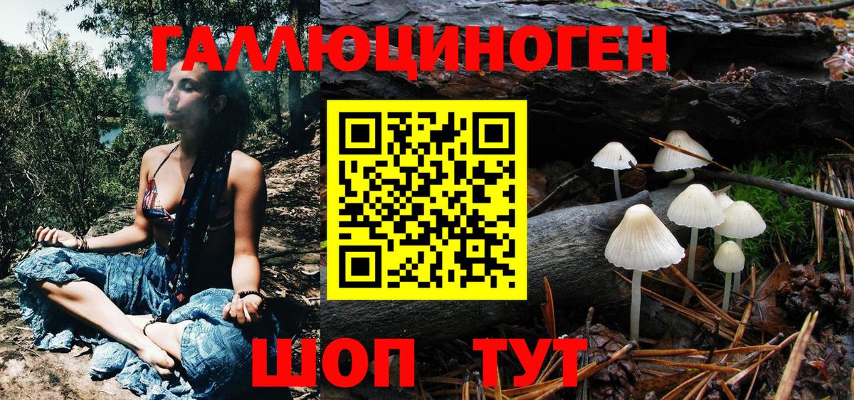 Галлюциногенные грибы мицелий  Вход с VPN  Тверь  где продают   Галлюциногенные грибы Psilocybe 
